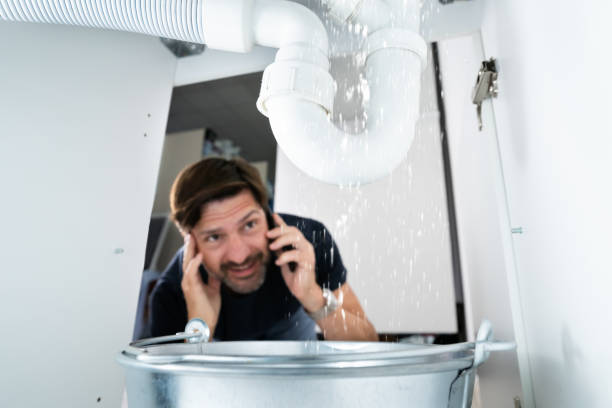 Best Gas Line Repair  in Fenton, MI