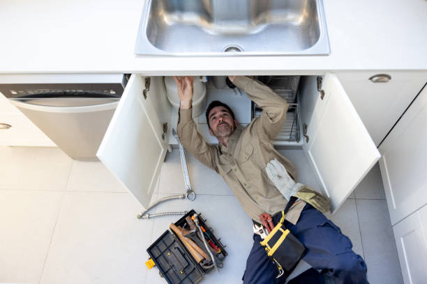 Best Local Plumber Services  in Fenton, MI