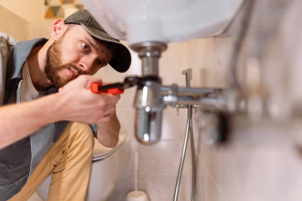 Best Residential Plumbing Services  in Fenton, MI