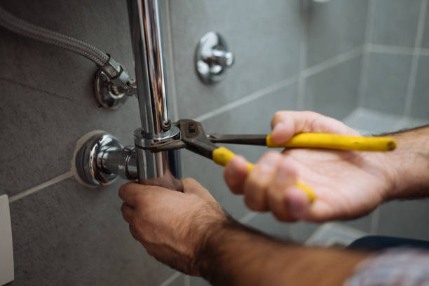 Best Plumbing Inspection Services  in Fenton, MI
